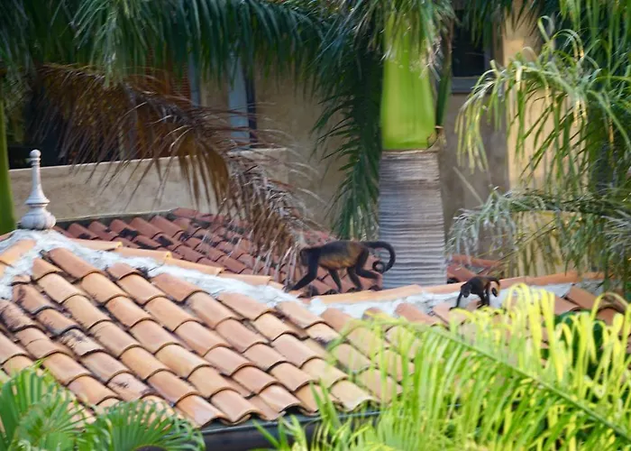 Casa Puesta Del Sol - Playa Langosta